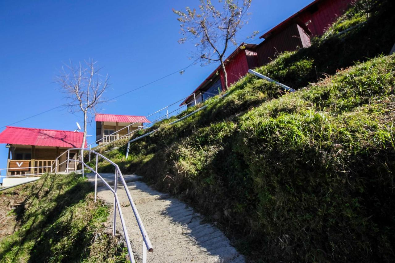 Glamwood Resort Dhanaulti Extérieur photo
